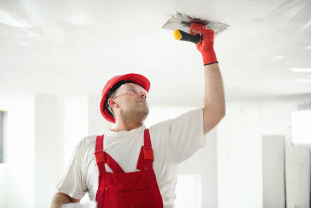 Best Drywall Installation  in Combee Settlement, FL